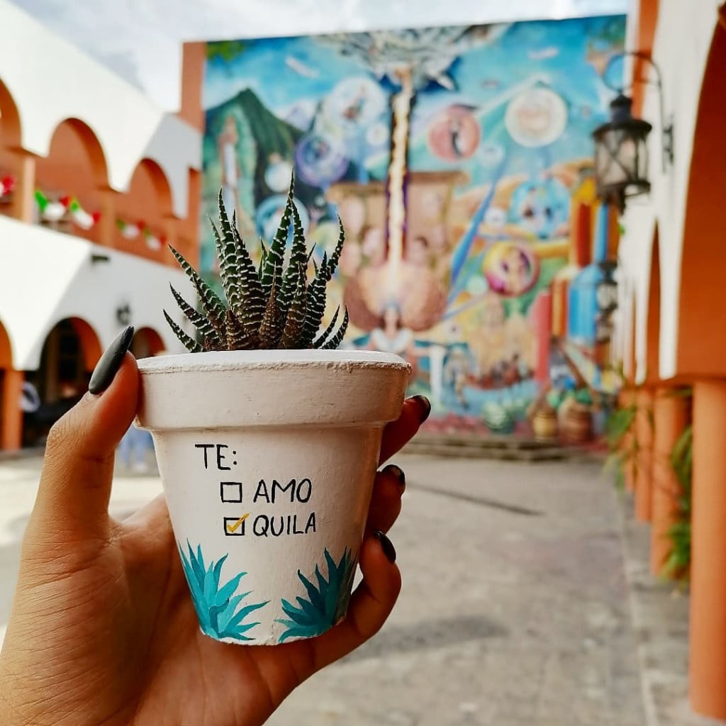 5 plantas para escritório fáceis de cuidar.