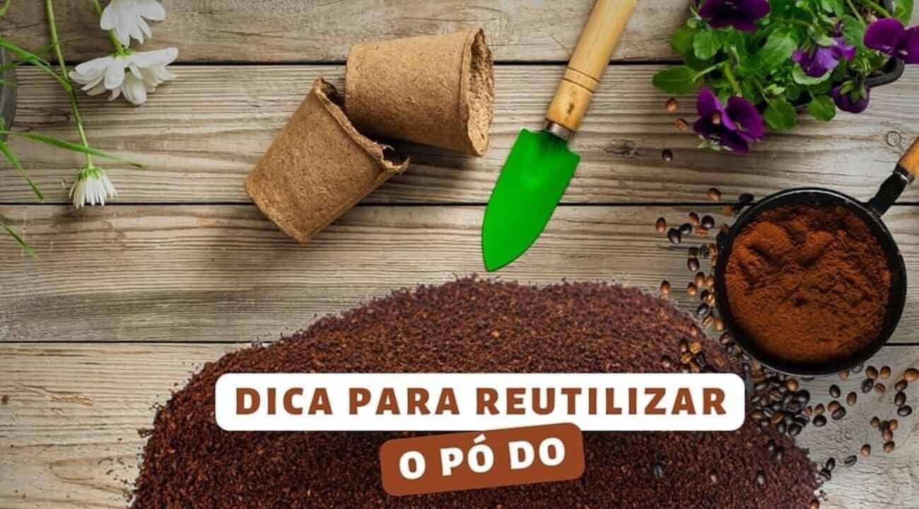 Como usar borra de cafe no cultivo de plantas