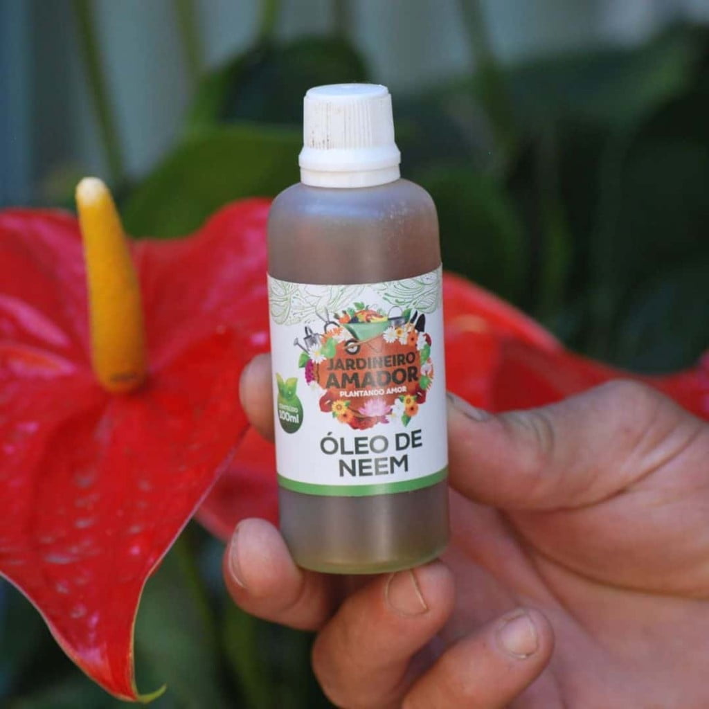 Inseticida caseiro para plantas: 4 receitas fáceis e práticas.