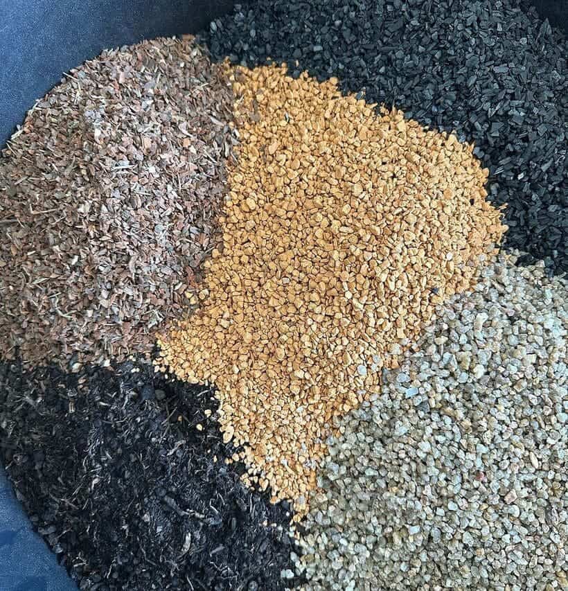 Substrato para orquídeas: qual utilizar? Descubra o segredo dos especialistas!