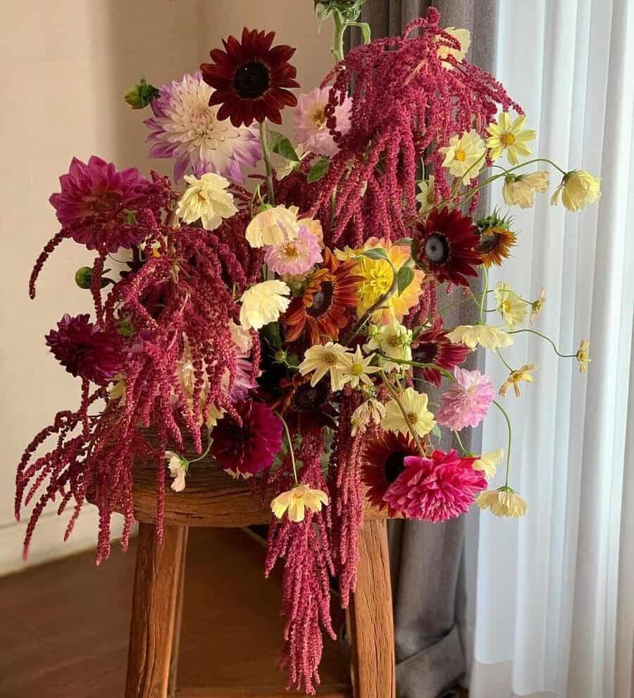 Amaranto (Amaranthus spp.): Guia Completo para Cultivo e Variedades