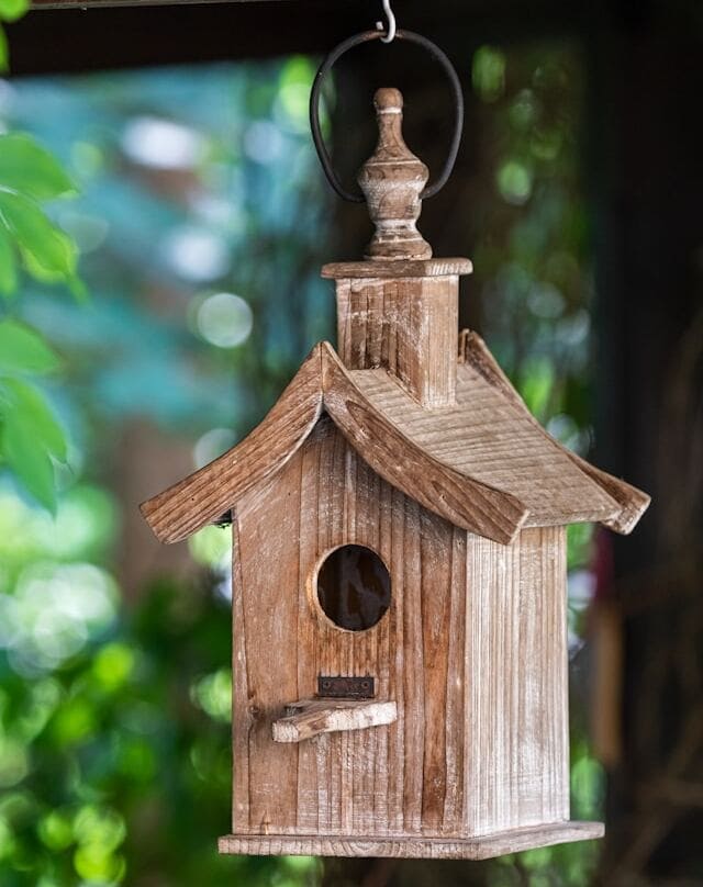 Comedouro para pássaros: se inspire com ideias para seu jardim e saiba como fazer o seu.