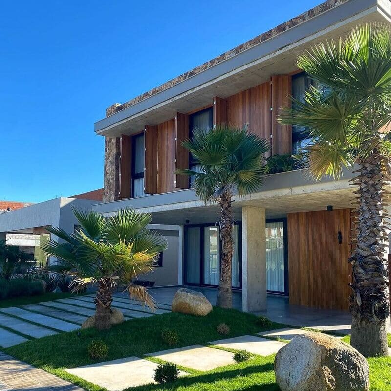 Palmeira Washingtonia: Como Cuidar da Planta Ideal para Jardins Tropicais