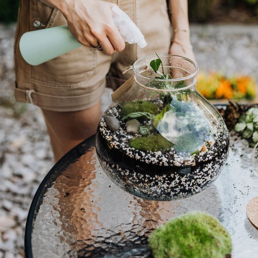 Vai Viajar? Saiba Como Cuidar de Suas Plantas Mesmo Estando Longe.