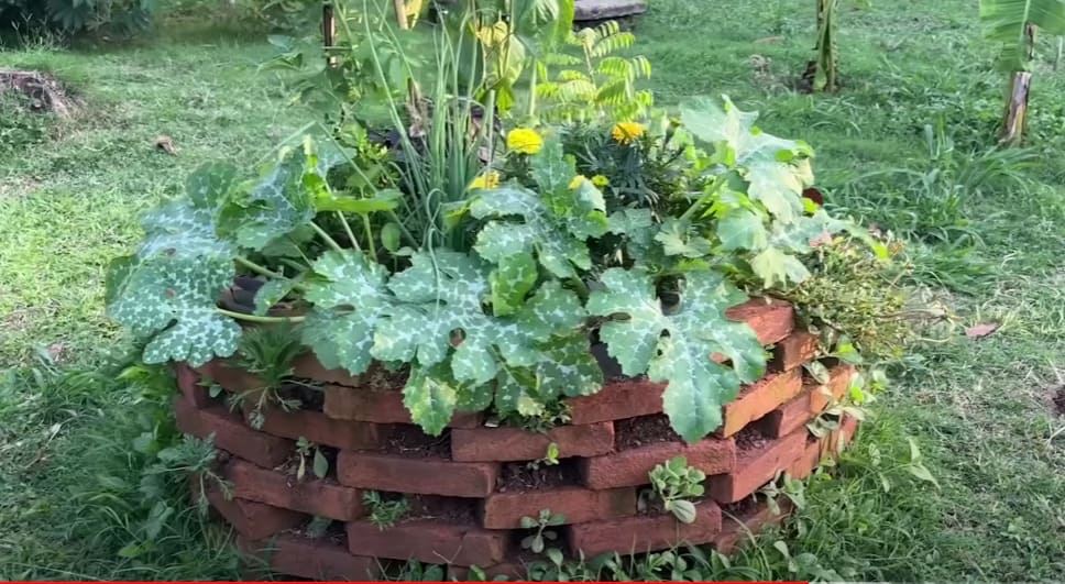 A horta em espiral é perfeita pra quem quer cultivar hortaliças em casa; Saiba como fazer.