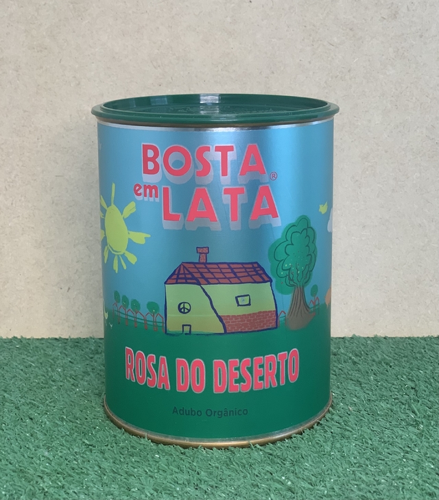 3 opções EXCELENTES de adubo para rosa do deserto florir.