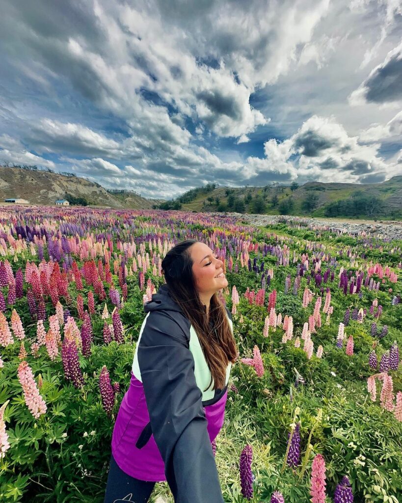 Lupino (Lupinus hybridus): Dicas de Cultivo e Uso no Paisagismo