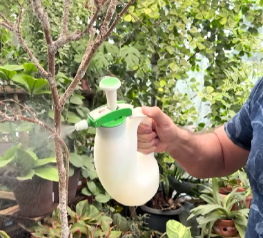 Acabe com a Cochonilha-farinhenta nas Suas Plantas utilizando detergente.