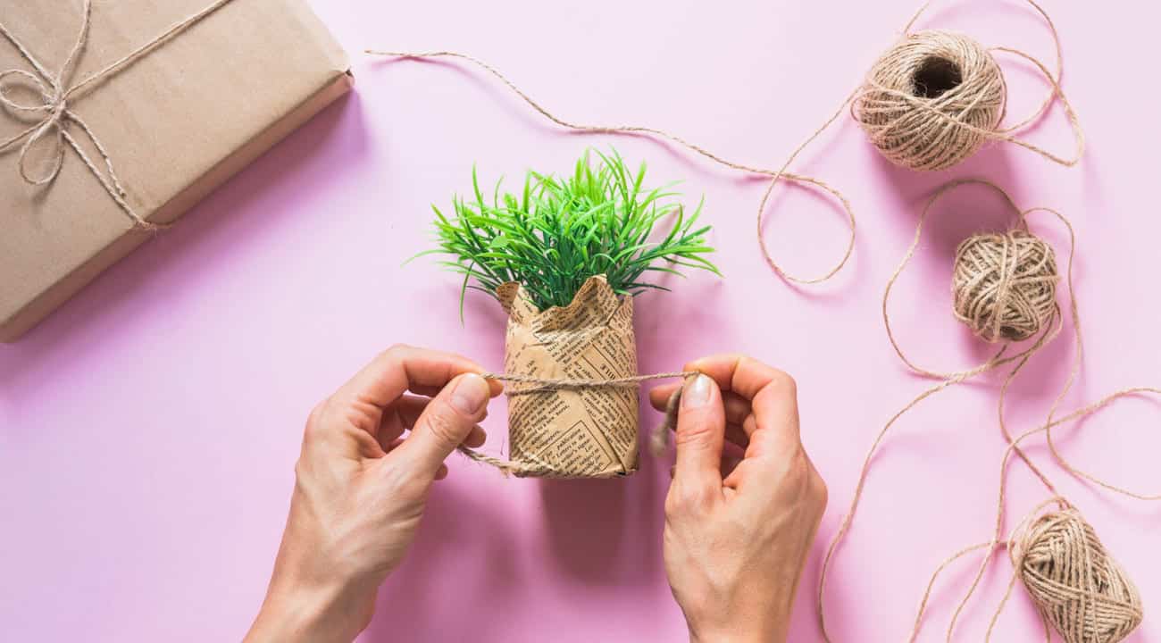 plantas presente natal