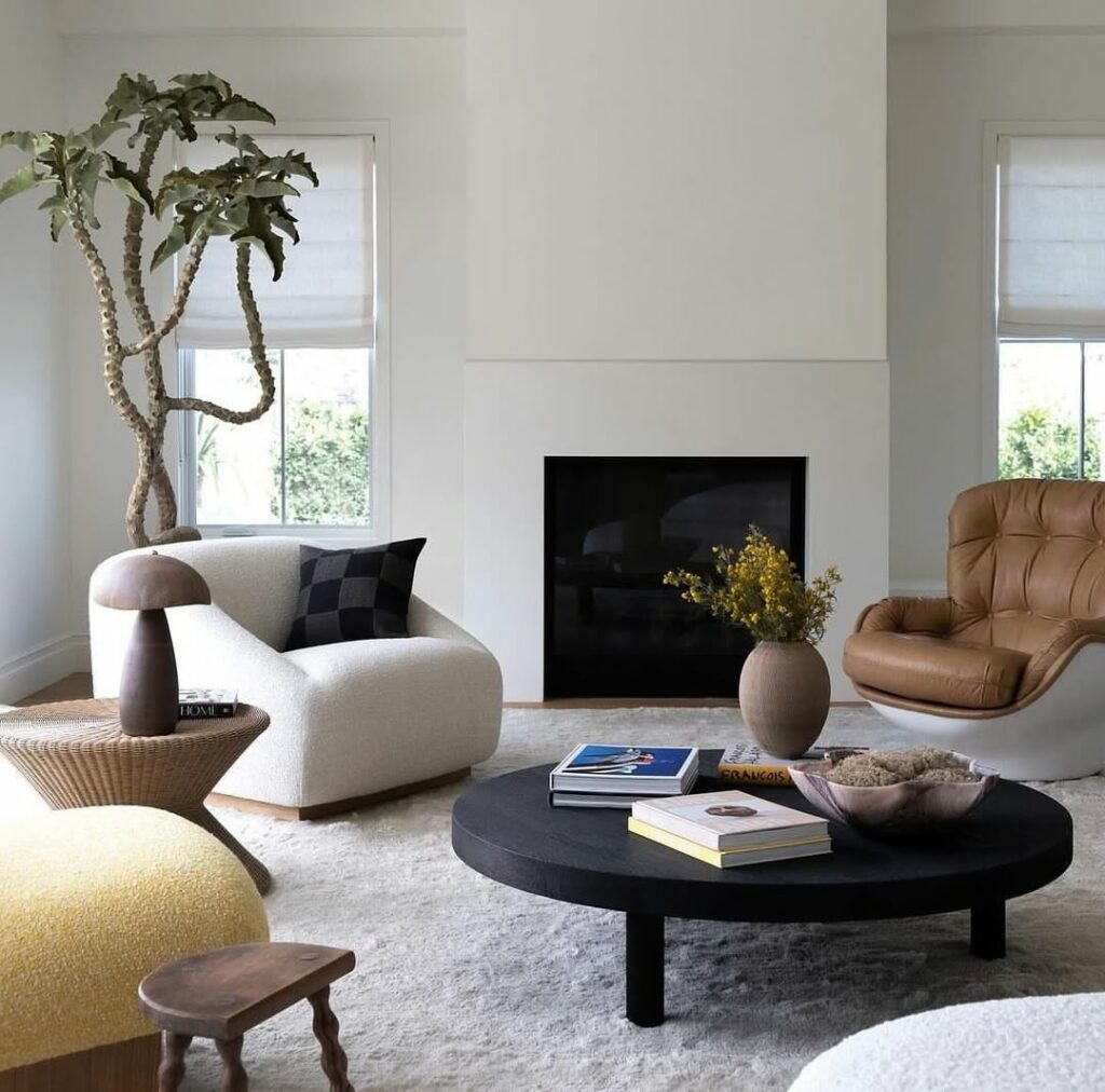 Suculenta Colher de Pedreiro: Características e cuidados para prosperar a bela Kalanchoe Beharensis.