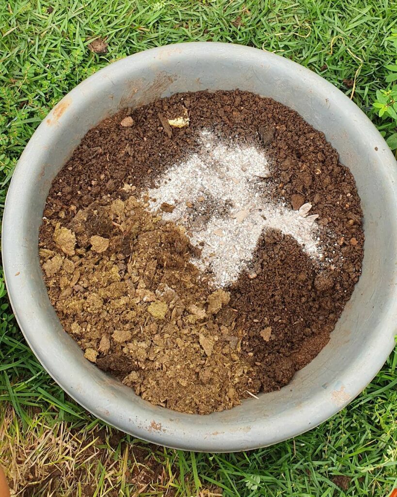 Guia prático para transformar resíduos em um poderoso adubo natural.