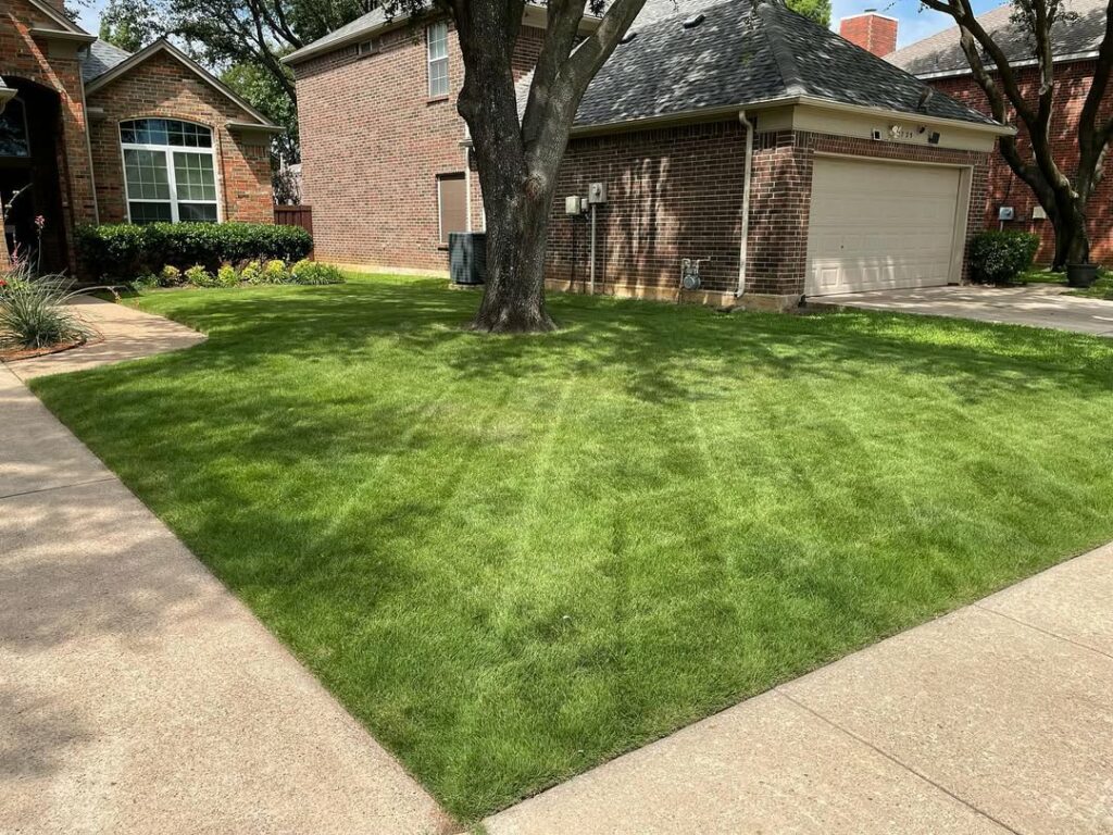 3 tipos de gramas mais utilizadas em paisagismos.