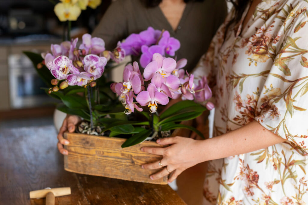 Sistema FAEP seleciona profissionais para ensinar cultivo de orquídeas