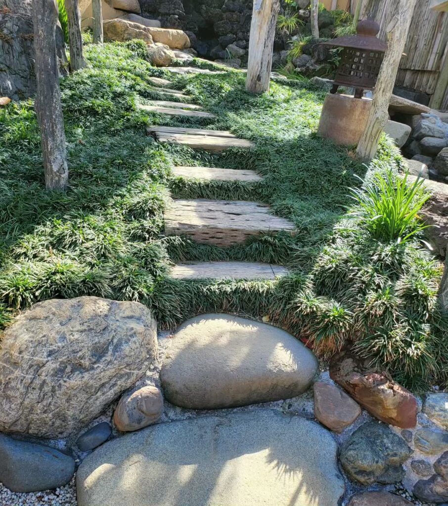 4 plantas para usar no alinhamento do piso