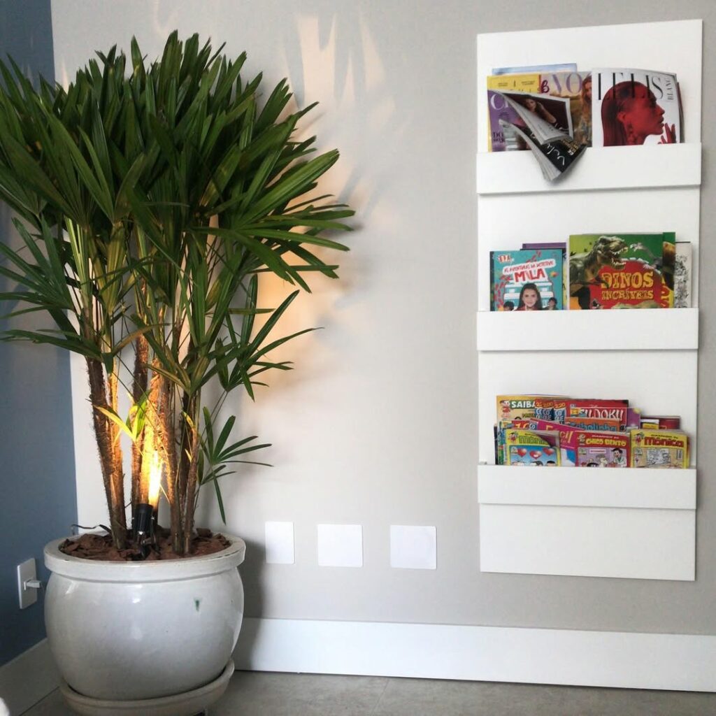 Como cuidar da ráfia e aproveitar todo o seu potencial ornamental