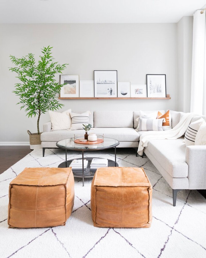 Especialistas explicam estratégias práticas para controlar o crescimento do bambu-mossô.