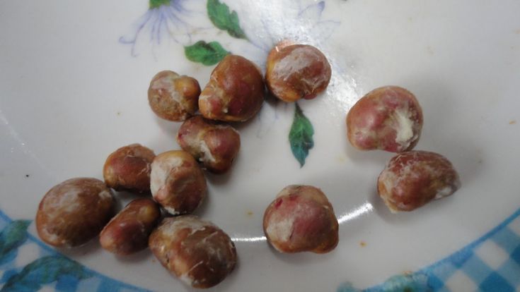 Como fazer muda de jabuticaba: técnicas certeiras para multiplicar essa árvore tipicamente brasileira