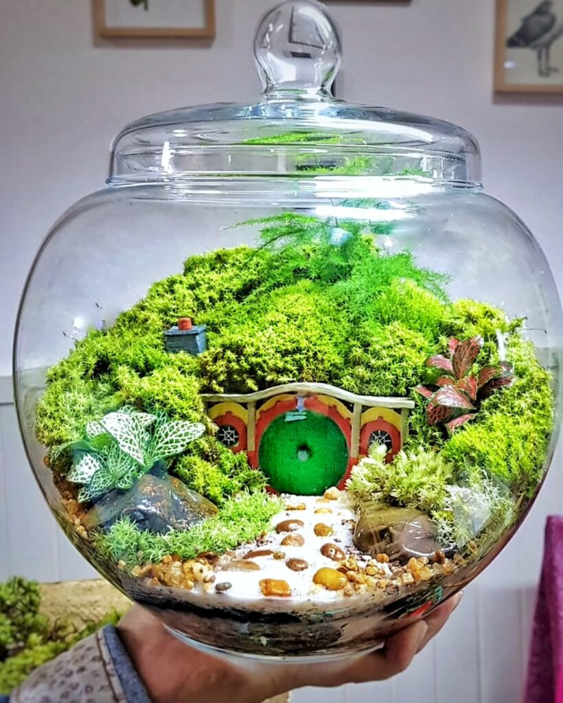 Plantas para terrário fechado: espécies que criam pequenos mundos verdes dentro de casa