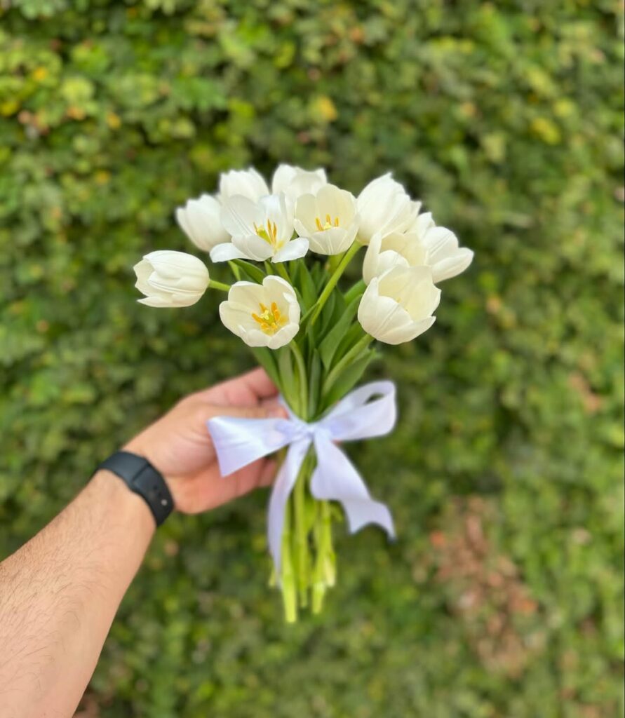 Tulipas: o que significa a flor que simboliza amor verdadeiro e renovação