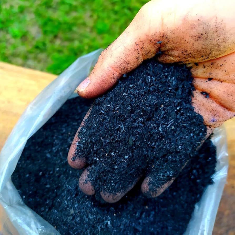 Carvão vegetal nos vasos: o truque natural que protege as raízes do excesso de água.