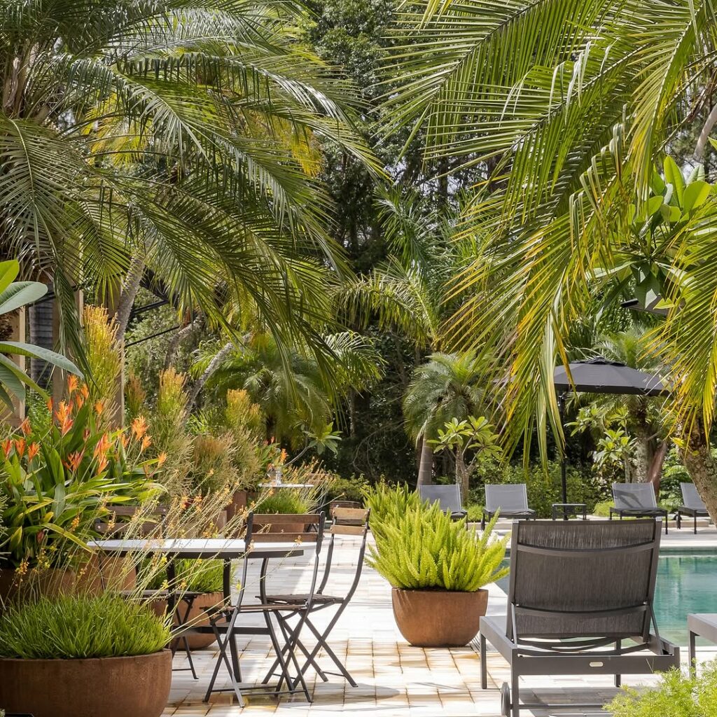 Jardim tropical minimalista: como criar ambientes naturais com elegância e simplicidade