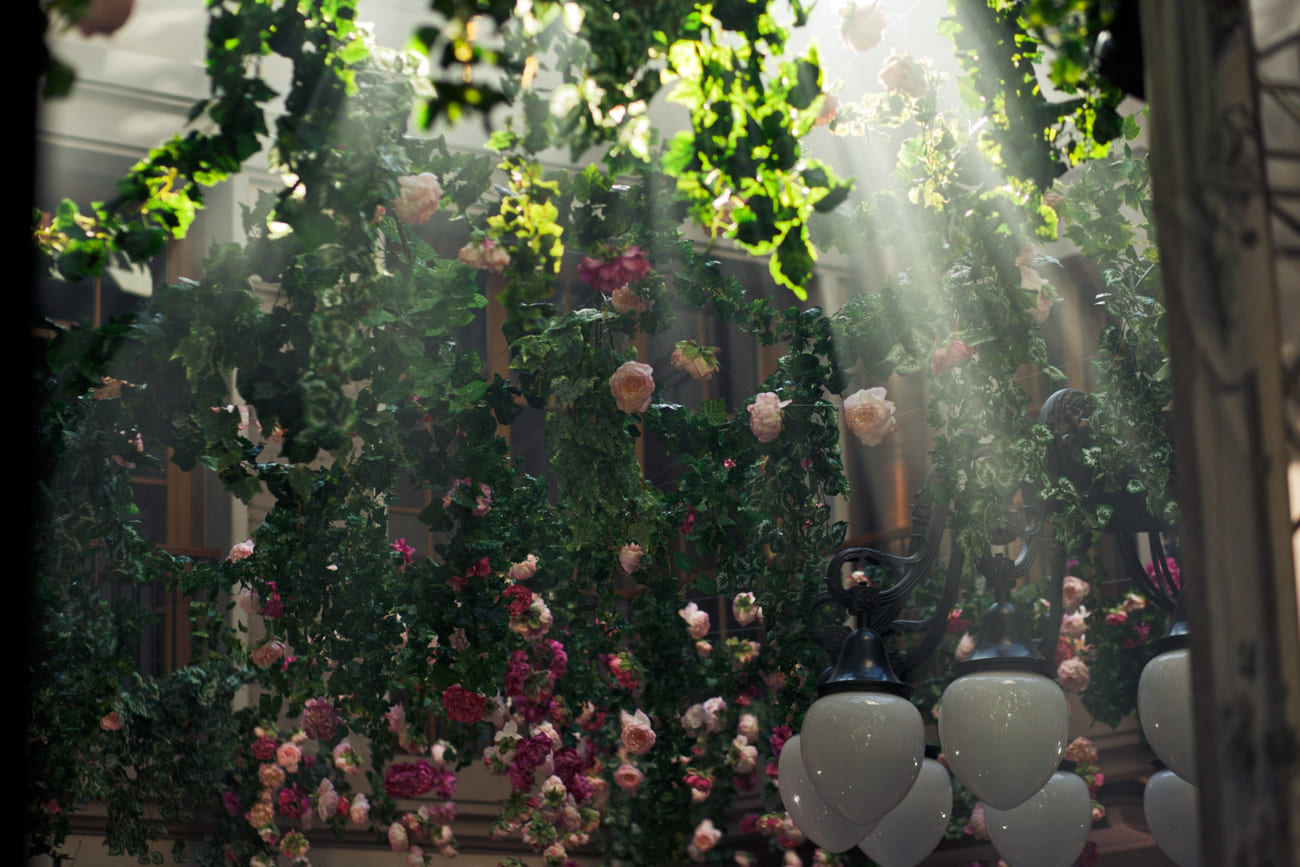 Jardim no inverno? Sim! Conheça as flores que resistem ao frio e encantam a paisagem