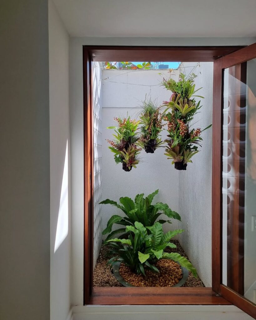 Como montar um jardim de inverno com samambaias e plantas tropicais